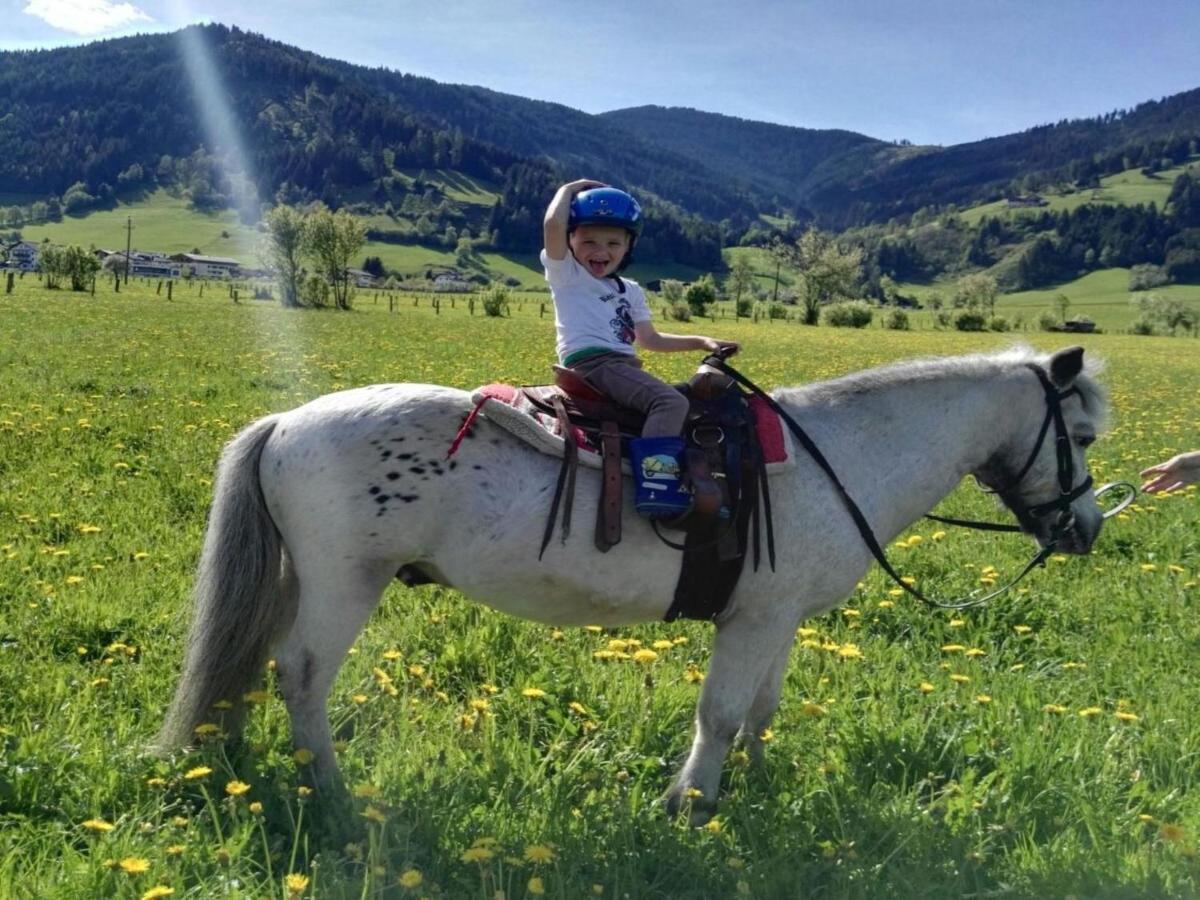 Elsa 플라차우 외부 사진